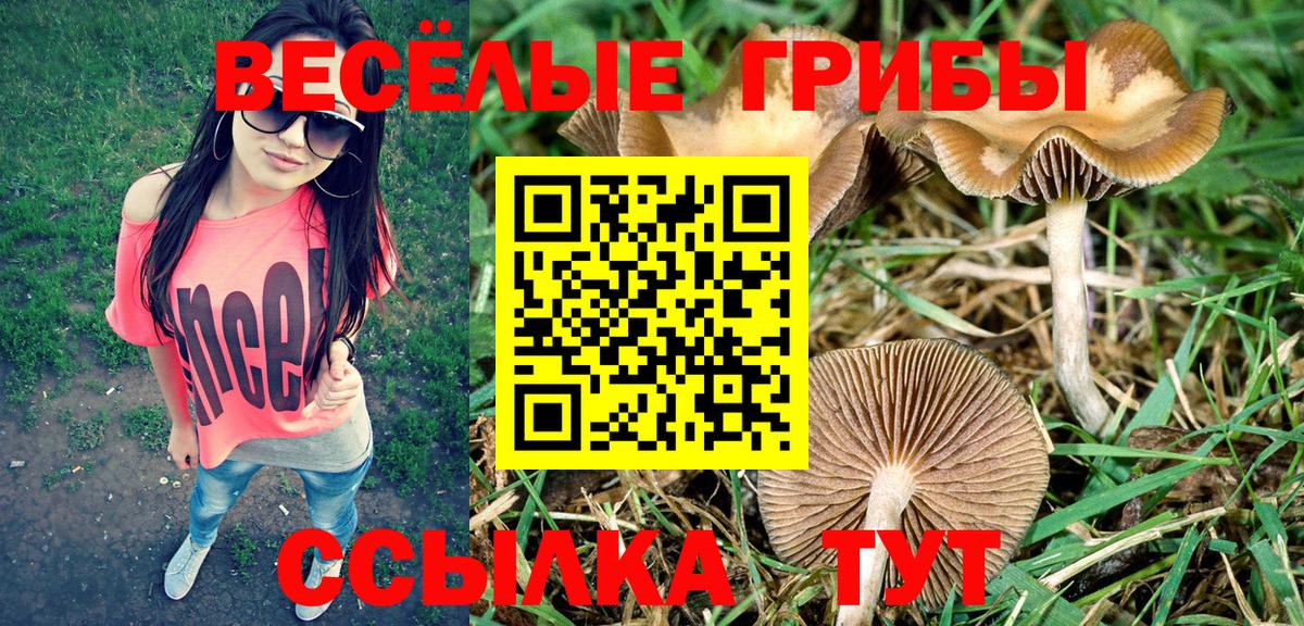 Сатка  Псилоцибиновые грибы мицелий  Вход с VPN 